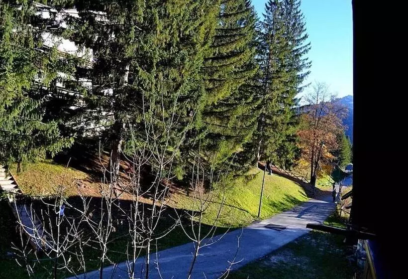 Fotos del hotel Serena:  12