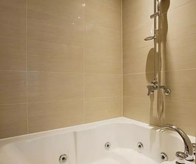 Fotos del hotel Premiers:  19