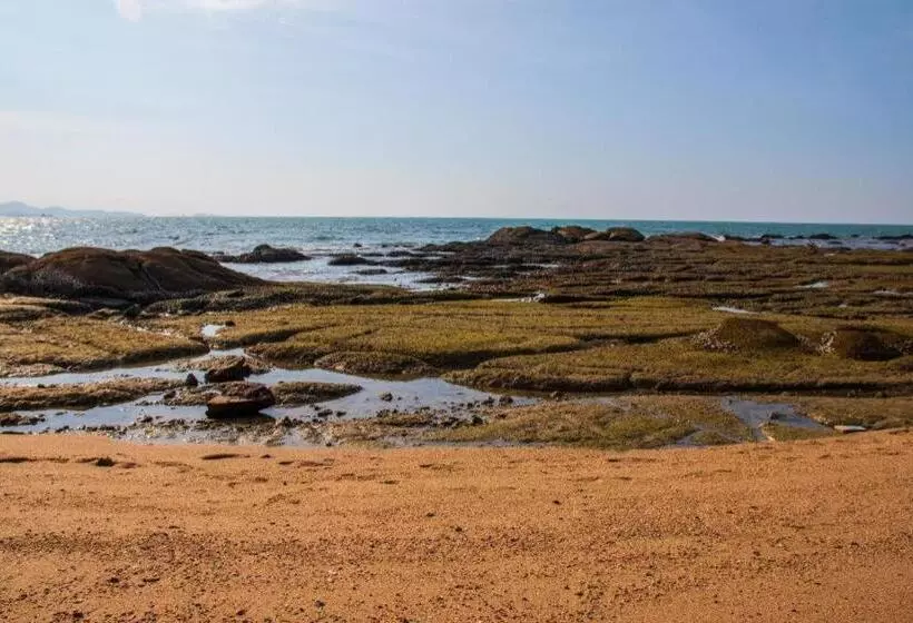 Fotos del hotel The Scenery City:  13