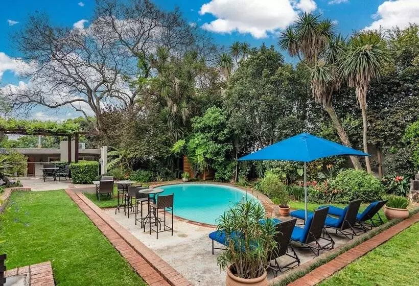 Fotos del hotel Clico Boutique:  9