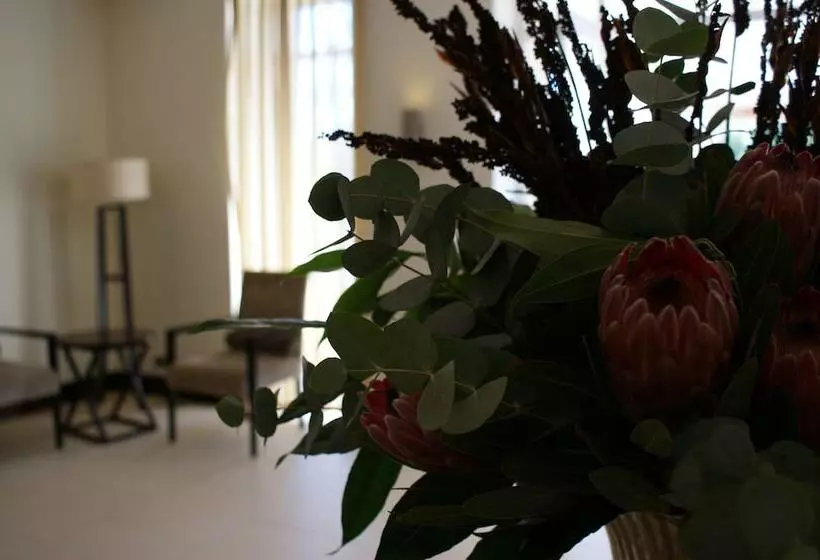 Fotos del hotel Kievits Kroon Gauteng Wine Estate:  10