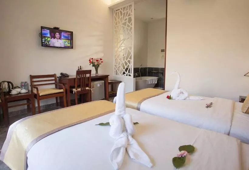 Fotos del hotel Hoi An Tnt Villa:  10