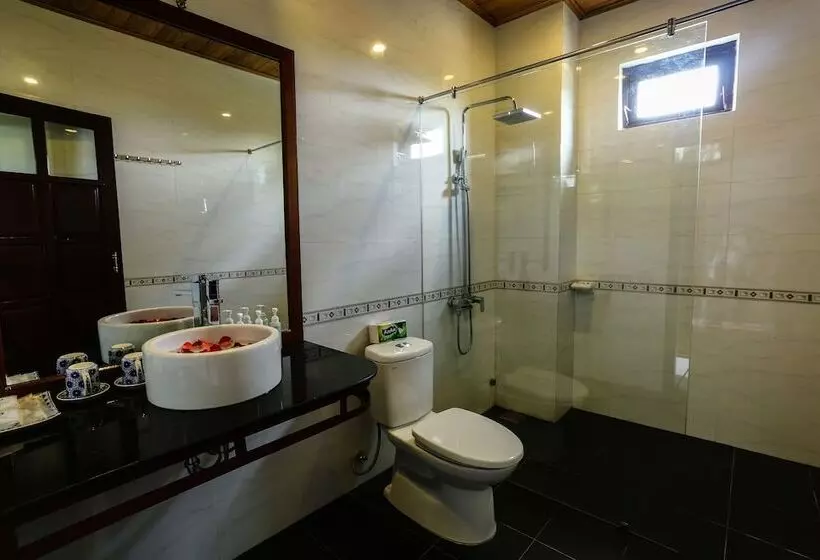 Fotos del hotel Hoi An Holiday Villa:  8