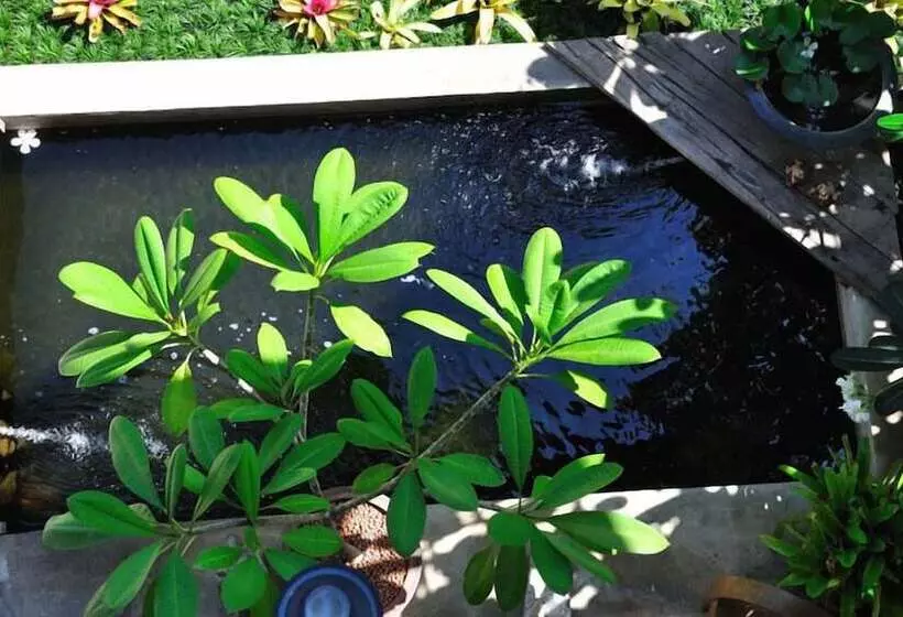 Fotos del hotel Baan Hanibah:  7