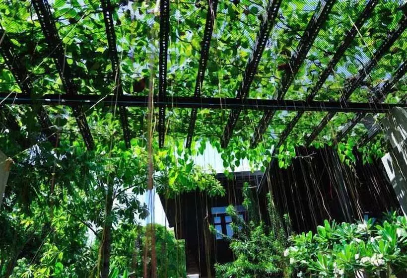 Fotos del hotel Baan Hanibah:  14