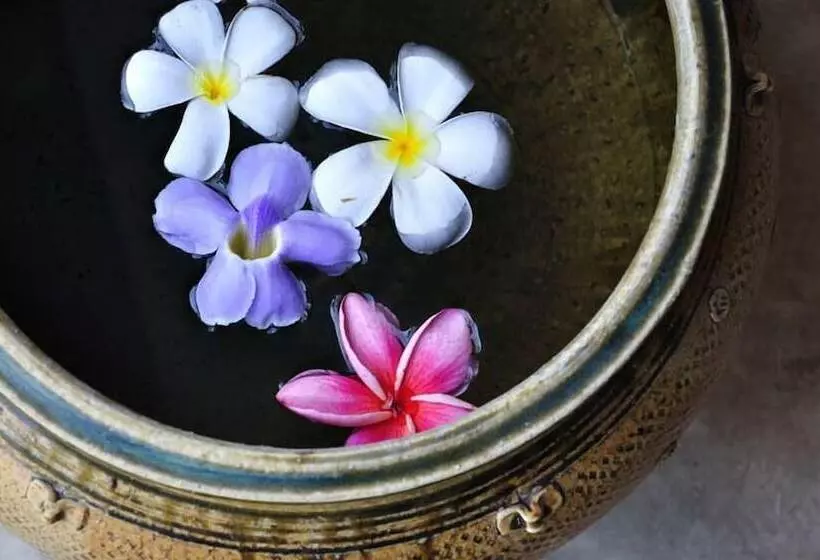 Fotos del hotel Baan Hanibah:  12