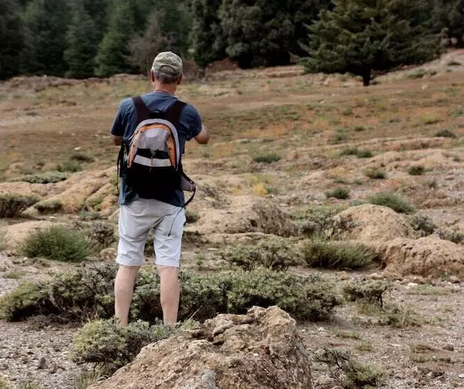 Fotos del hotel Dar El Bali:  16