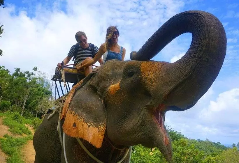 Fotos del hotel Phutara Lanta Resort:  17