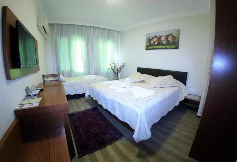 Fotos del hotel Selena:  4