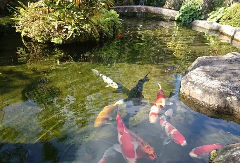 Fotos del hotel Yumoto Onsen Oharasansou:  13