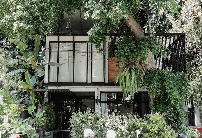 Fotos del hotel Pyur Otel:  5