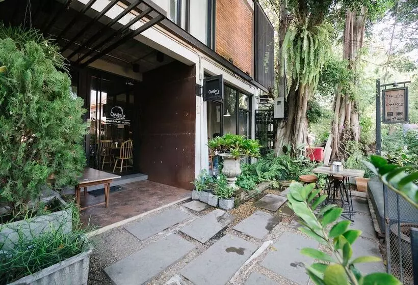 Fotos del hotel Pyur Otel:  4