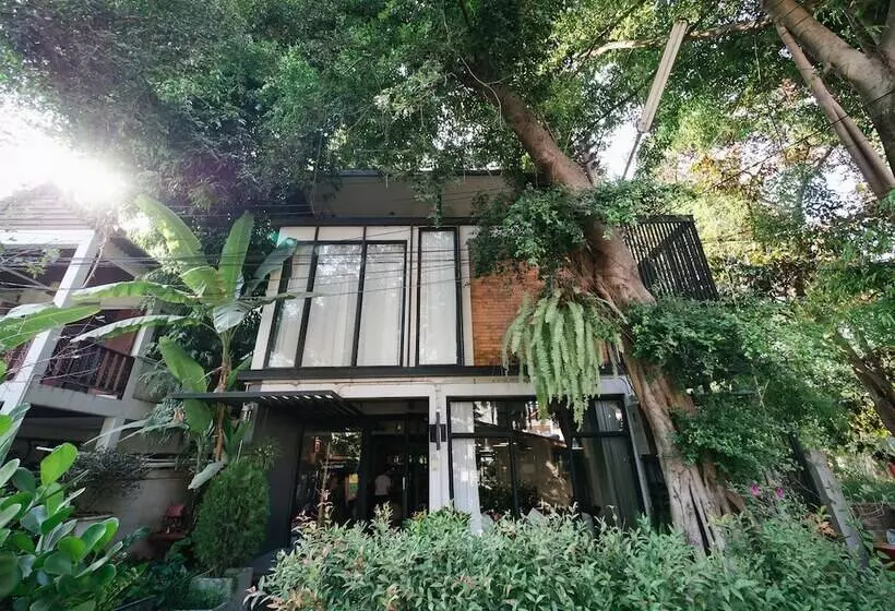 Fotos del hotel Pyur Otel:  8