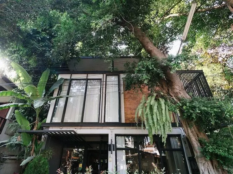 Fotos del hotel Pyur Otel:  14