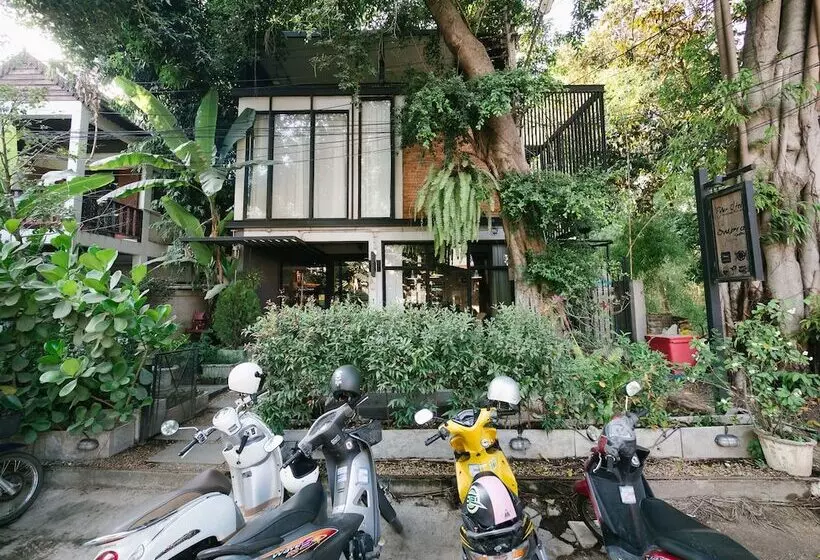 Fotos del hotel Pyur Otel:  15