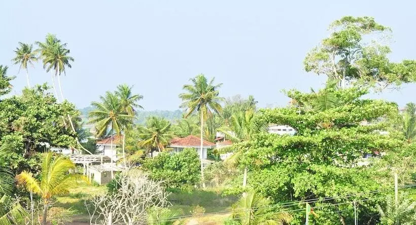 Fotos del hotel Brizo:  6