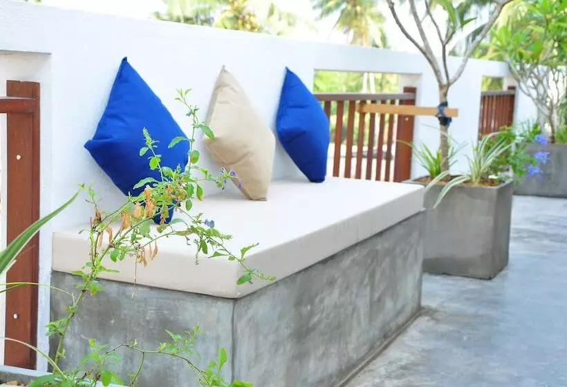 Fotos del hotel Brizo:  4