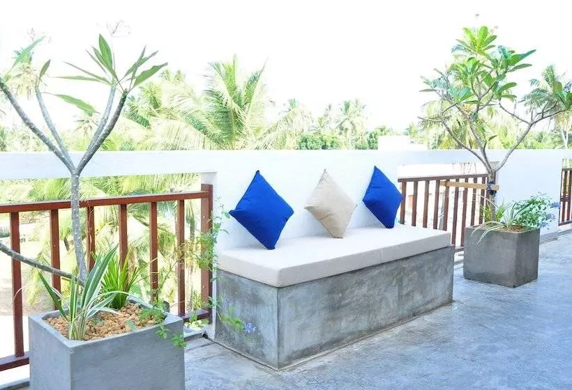 Fotos del hotel Brizo:  13