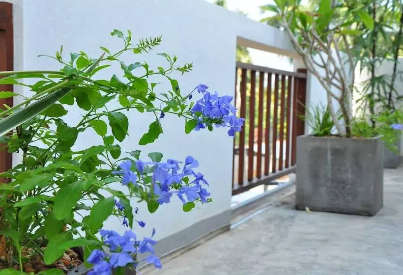 Fotos del hotel Brizo:  14