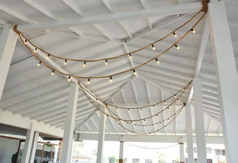 Fotos del hotel Brizo:  15