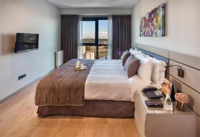 Fotos del hotel Fraser Place Antasya Istanbul:  2