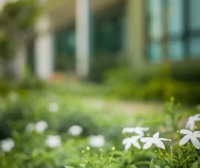 Fotos del hotel Moonlight Cottage Phuket:  7