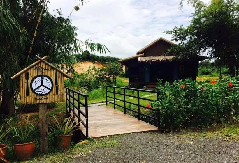 Fotos del hotel Moonlight Cottage Phuket:  15