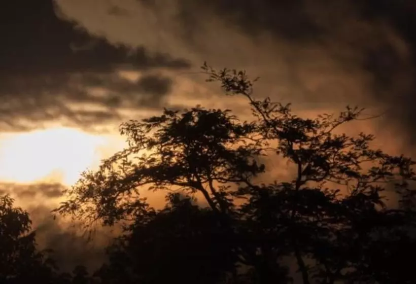 Fotos del hotel Moonlight Cottage Phuket:  11