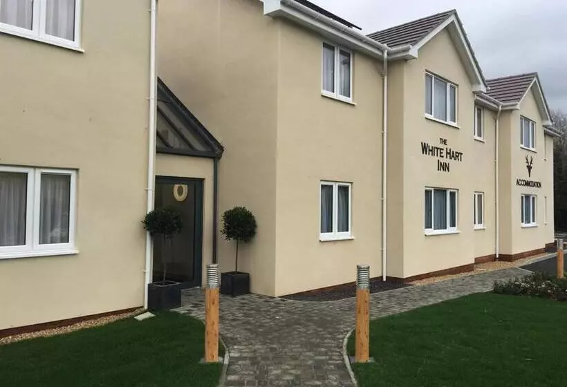 Fotos del hotel The White Hart:  12
