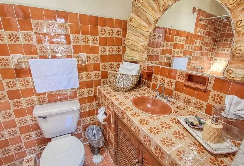 Fotos del hotel Mexicana San Miguel:  19