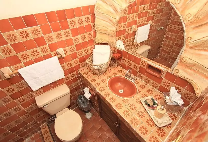 Fotos del hotel Mexicana San Miguel:  11