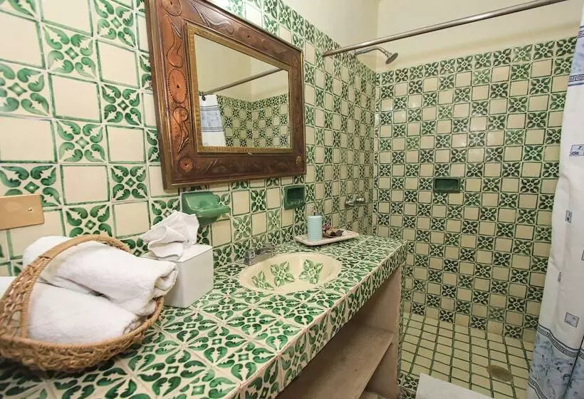 Fotos del hotel Mexicana San Miguel:  25