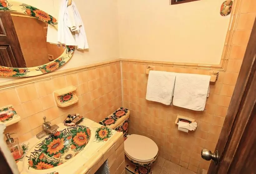 Fotos del hotel Mexicana San Miguel:  7