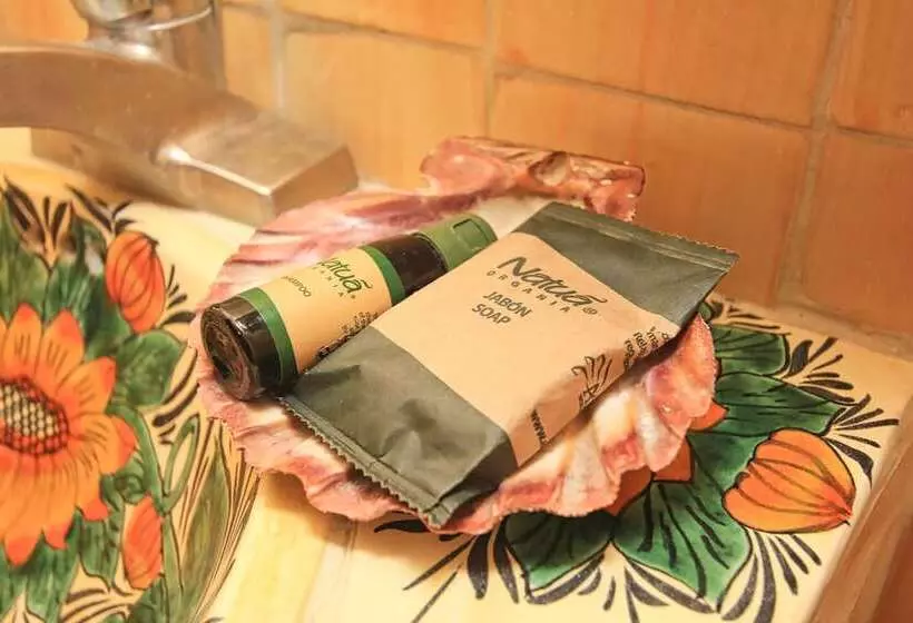 Fotos del hotel Mexicana San Miguel:  12