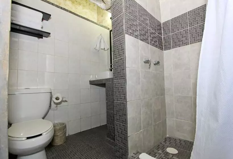 Fotos del hotel Mexicana San Miguel:  23