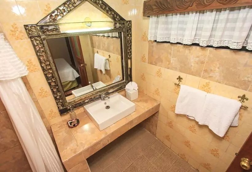 Fotos del hotel Mexicana San Miguel:  17