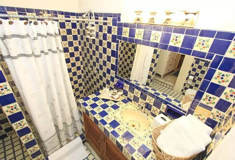 Fotos del hotel Mexicana San Miguel:  16