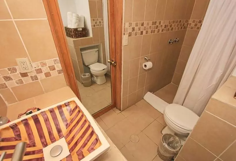 Fotos del hotel Mexicana San Miguel:  15