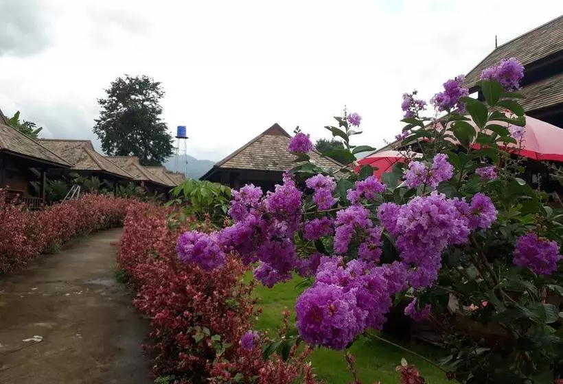 Fotos del hotel Shambave Pai Resort:  12