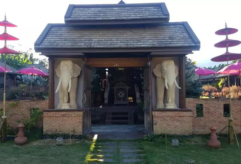 Fotos del hotel Shambave Pai Resort:  10