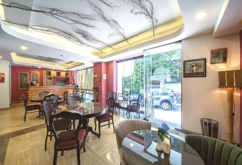 Fotos del hotel Ayna  Istanbul:  15