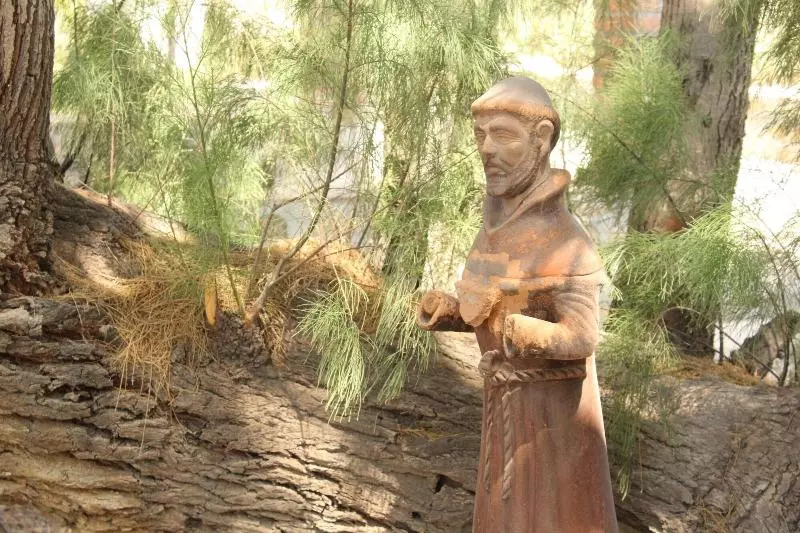 Fotos del hotel Termas De San Joaquin:  12