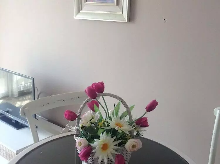 Fotos del hotel Admiral Plaza:  10