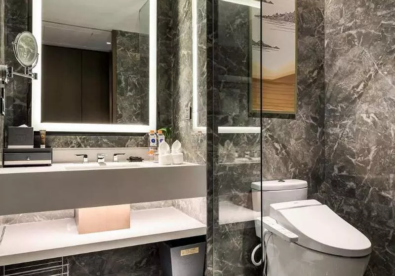 Fotos del hotel Novotel Xi An Scpg:  6