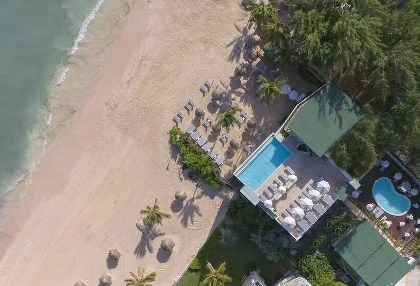 Fotos del hotel Hm Bavaro Beach - Adults Only :  15