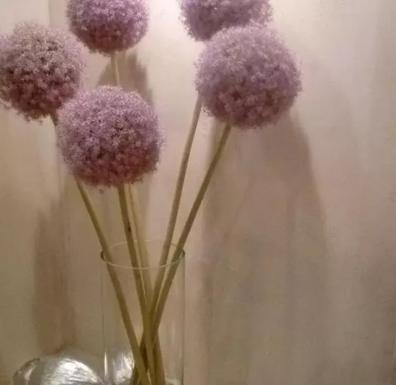 Fotos del hotel Rossetti:  10