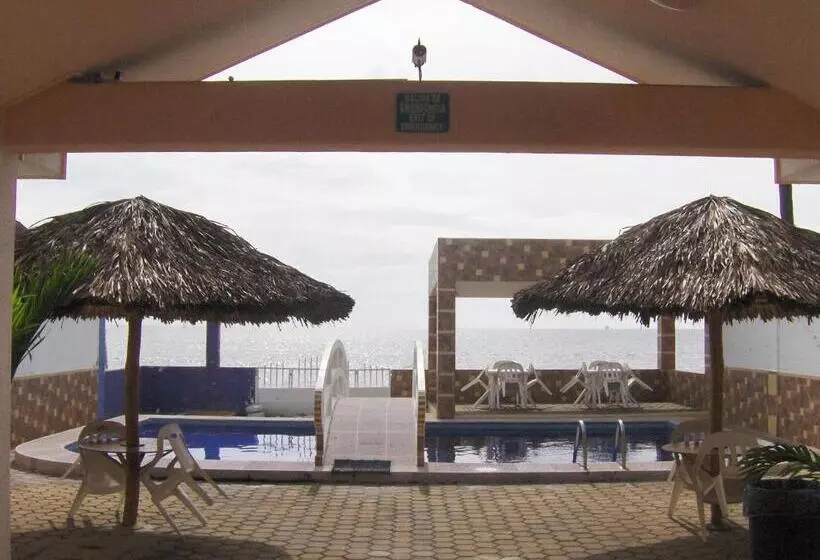 Fotos del hotel Albatros:  15