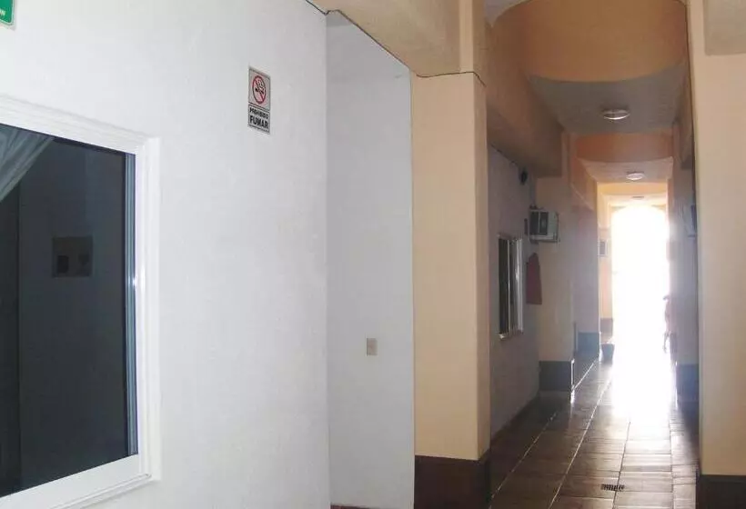 Fotos del hotel Albatros:  18