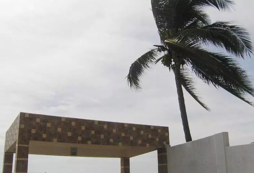 Fotos del hotel Albatros:  16