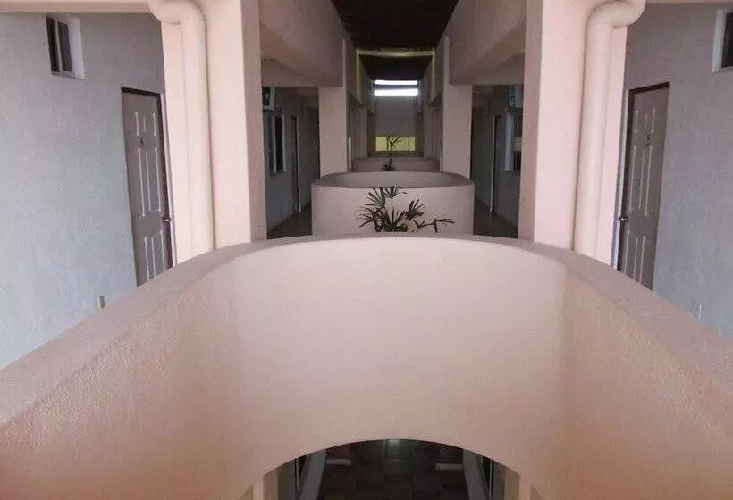 Fotos del hotel Albatros:  14